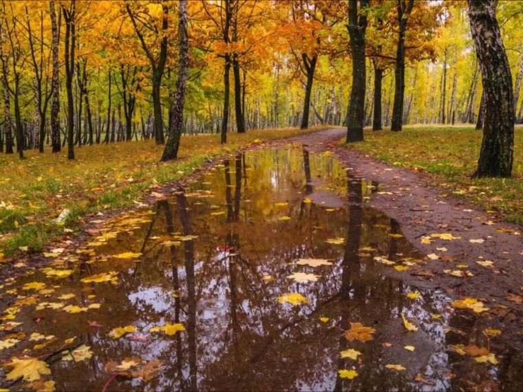 Промозглая осень