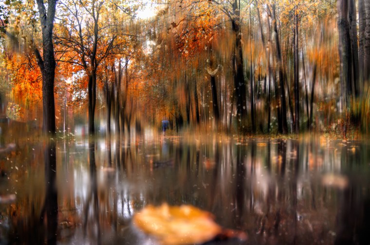 Дождливая осень