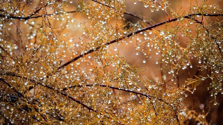 Первый снег фон