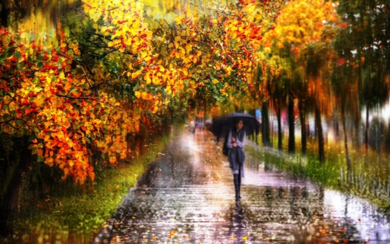 Осенний дождь фотографии