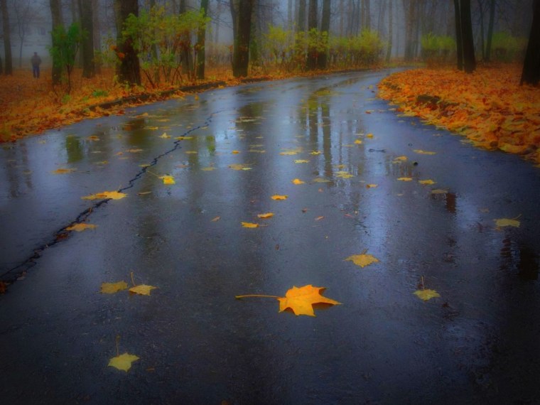 Дождь осенью