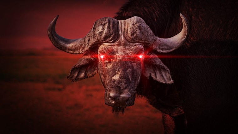 Бык в искусстве