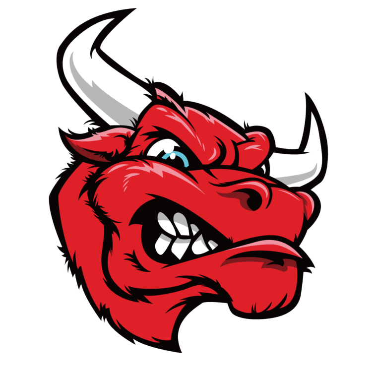 Бык с Буллс