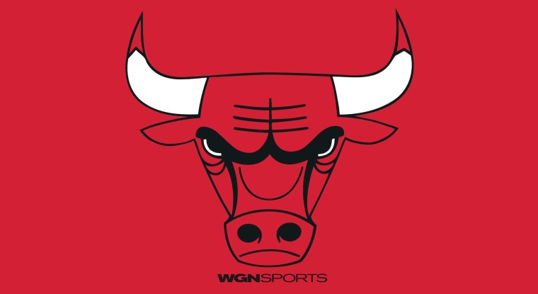 Chicago bulls нашивка