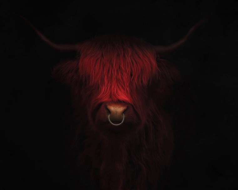 Чикаго Булс