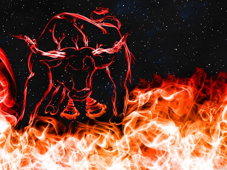 Чикаго Буллз черный бык