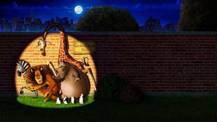 Мадагаскар 2005