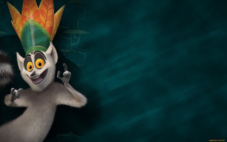 Баннер Мадагаскар