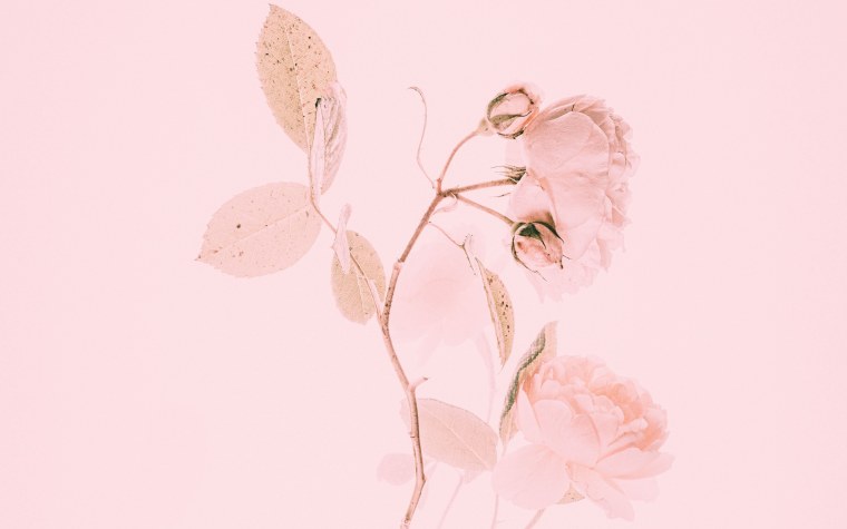 Картинки в розовом стиле