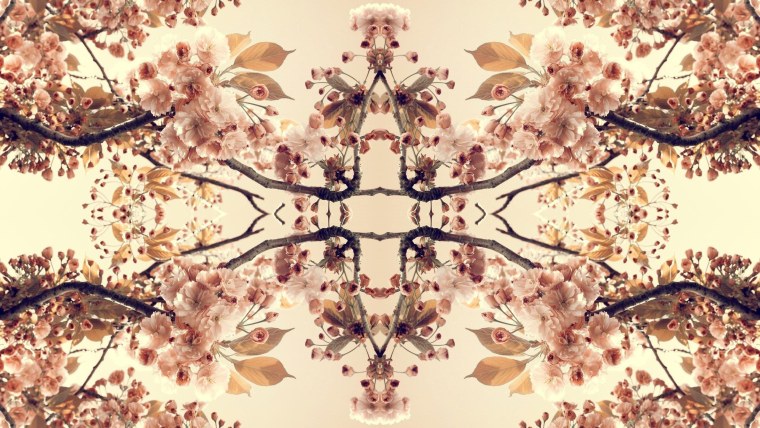 Японский орнамент