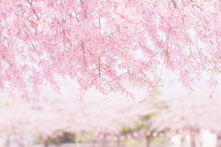 Флаг Японии и Япония на японском