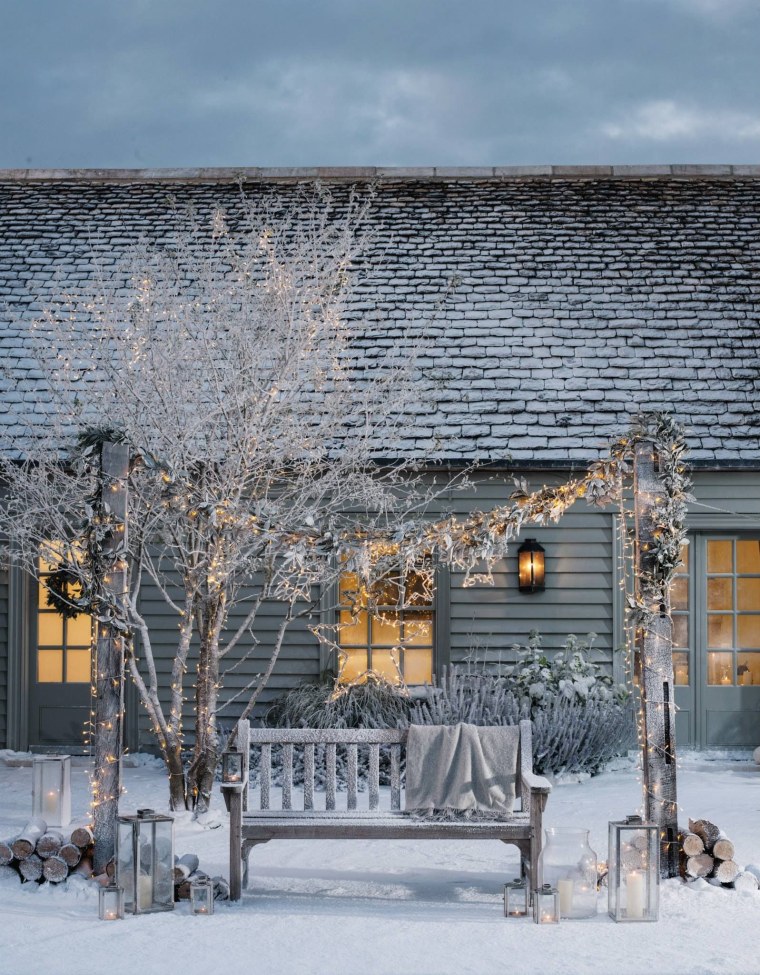 Деревенский сад зимой