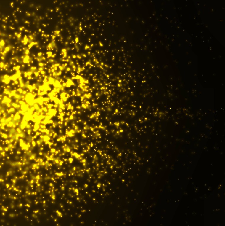 Желтые блестки