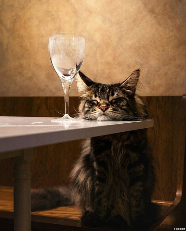 Этой зимой я хочу сохранить то что имею