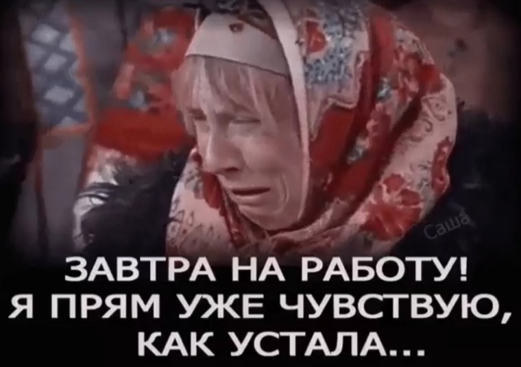 Идеальное утро проснулся потянулся улыбнулся перевернулся и заснул