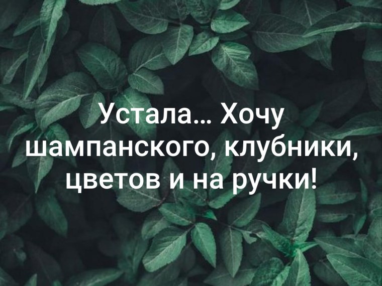 Корпоратив приколы
