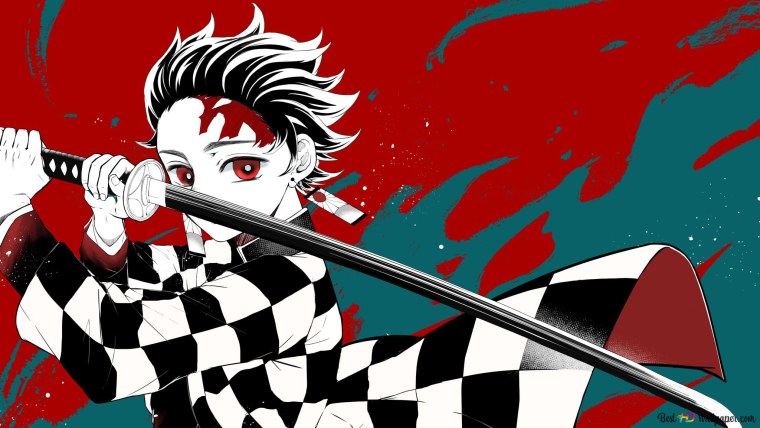 Demon Slayer Kimetsu no Yaiba