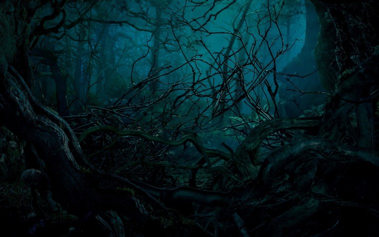 Сказочный страшный ночной лес