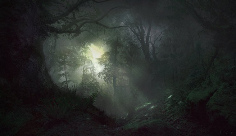 Гарри Поттер темный лес темный лес темный лес темный лес