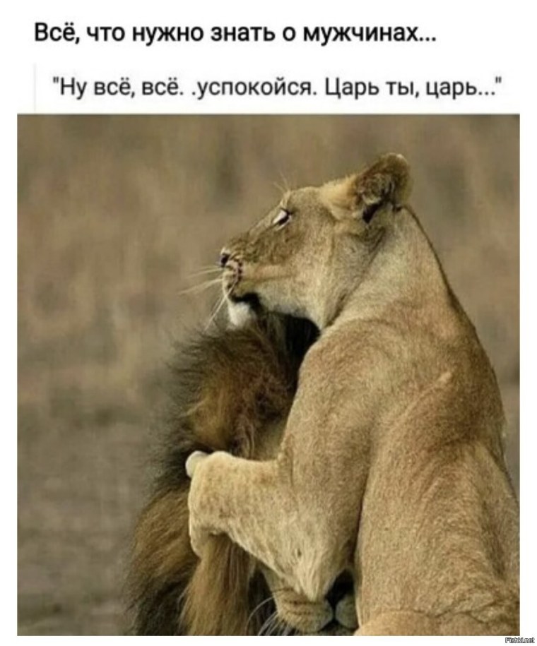 Царь ты царь успокойся