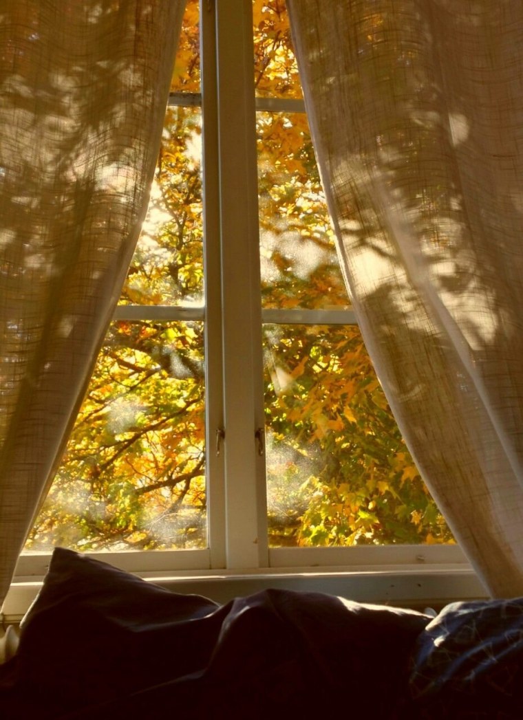 Дождь за окном