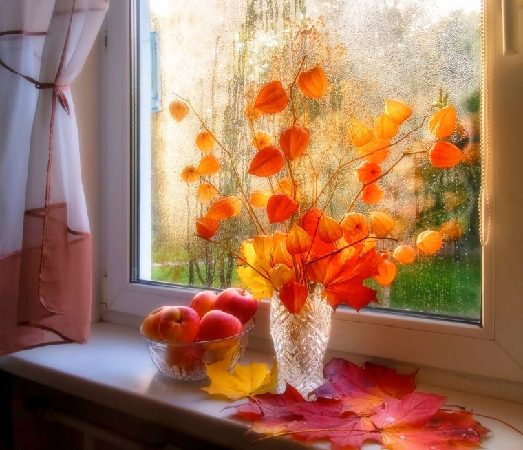 Осень дождь