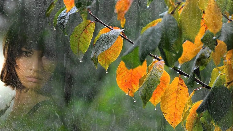 Чашка на окне