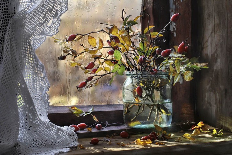 Поздняя осень дождь