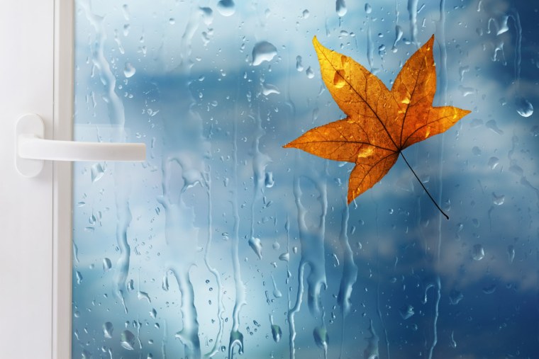 Валентина Колова осеннее живопись