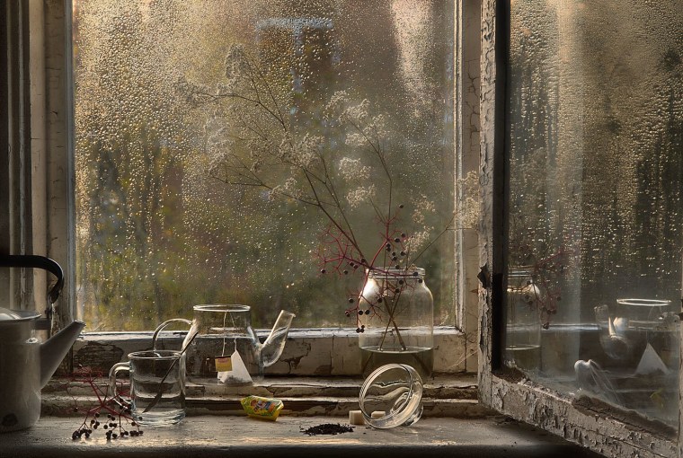 Лист на мокром стекле