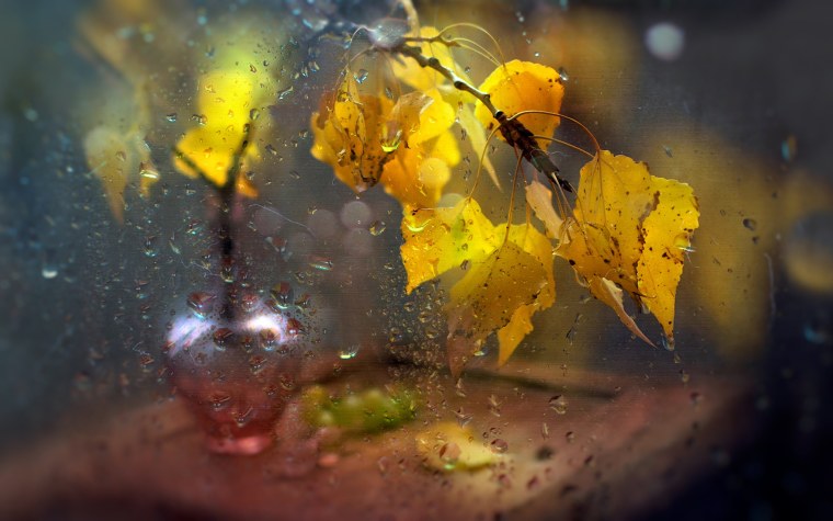 Окно с каплями дождя