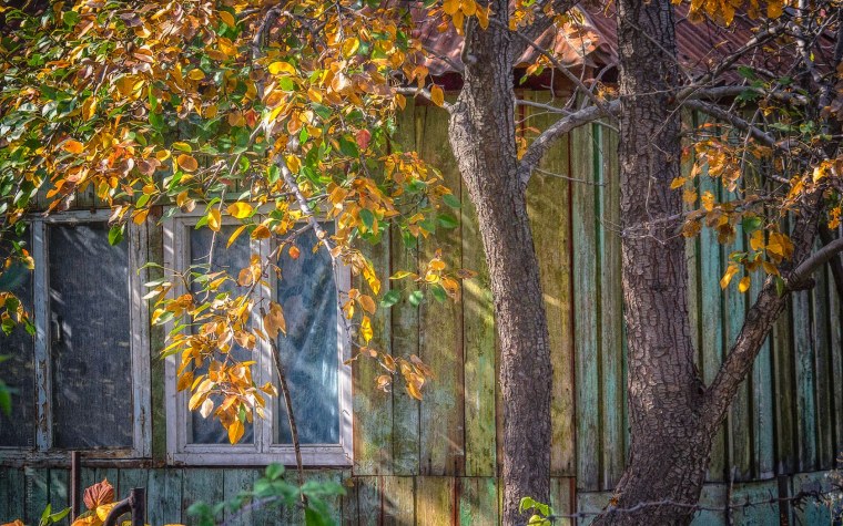 Осенний ливень