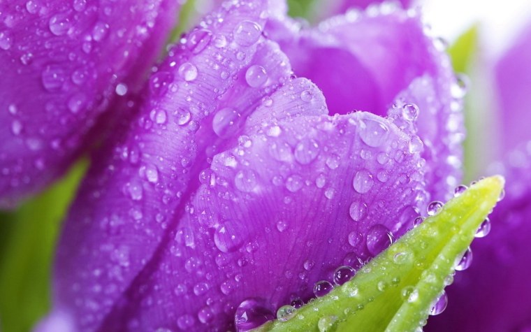 Красивые обои на рабочий столэ