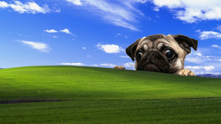 Картинки на рабочий стол