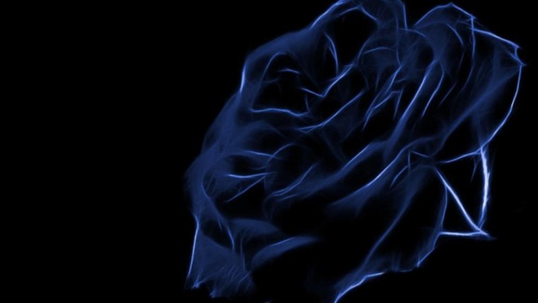 Синие розы для любимой