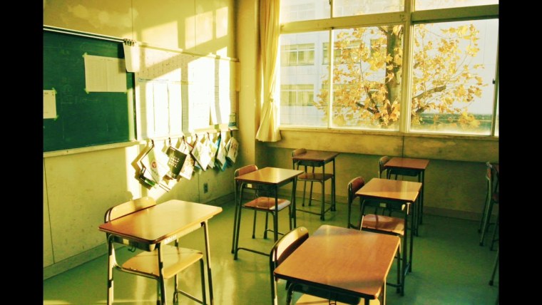 Эстетика школы России