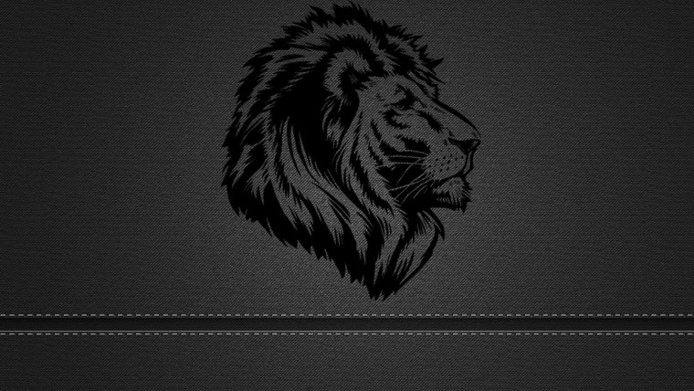 Лев на черном фоне