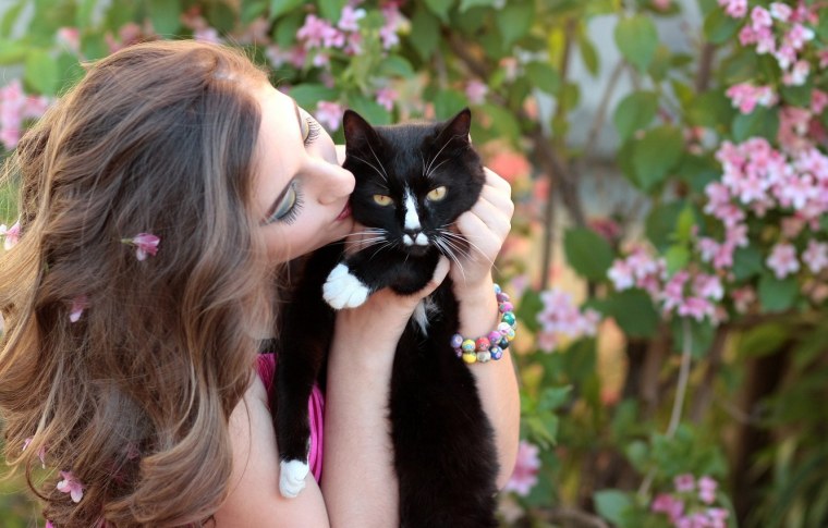 Красивая девушка с котом