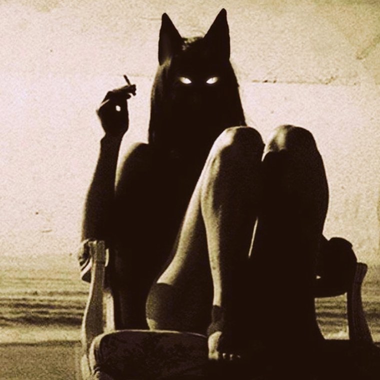 Девушка с котом со спины