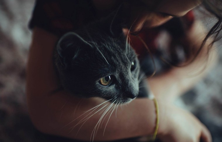 Девушка с котом