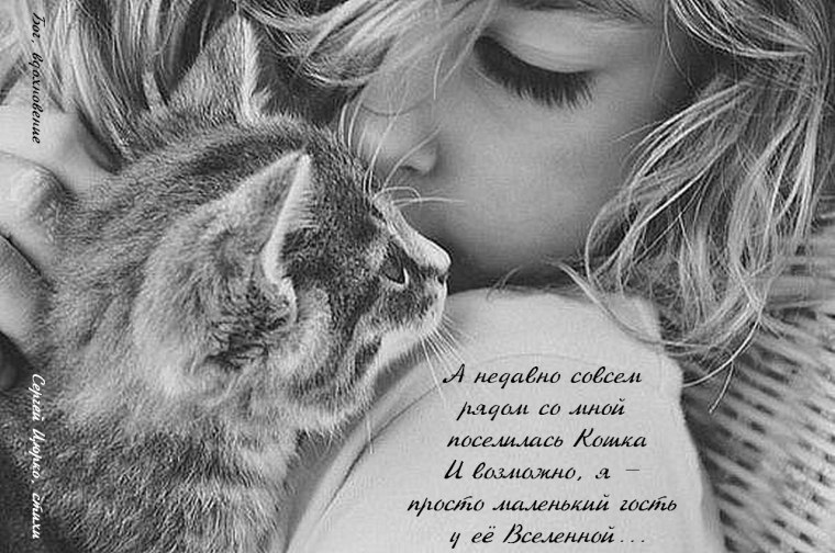 Блондинка с котенком