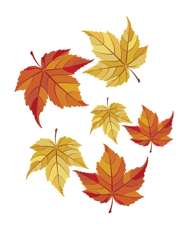 Осенние листья