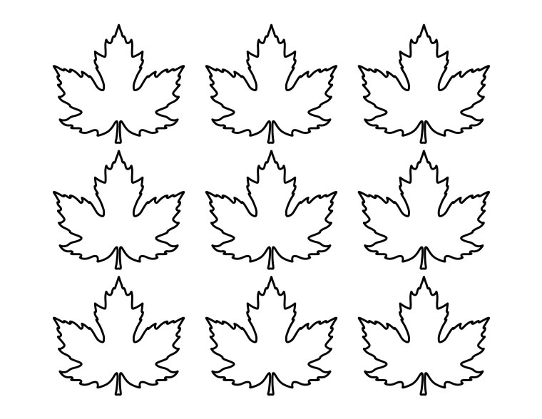 Трафареты кленовых листьев