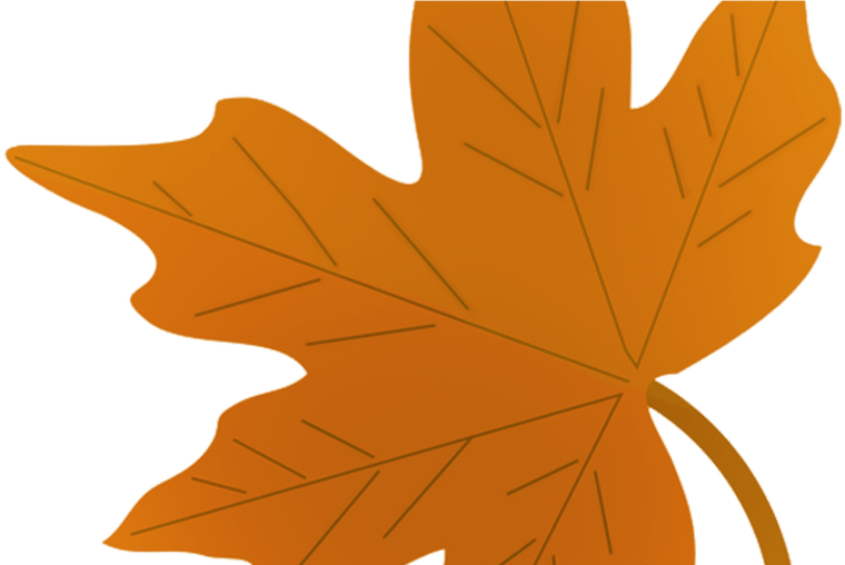 Листья деревьев