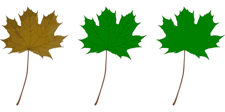 Зеленые кленовые листья для вырезания