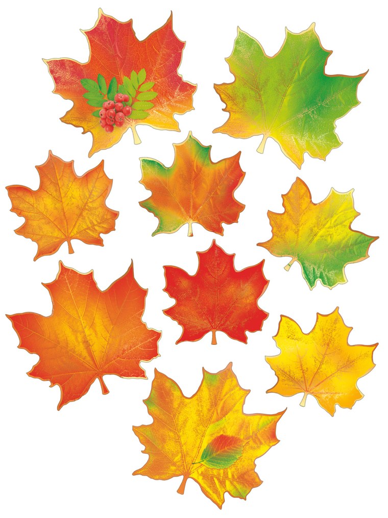 Кленовые листочки