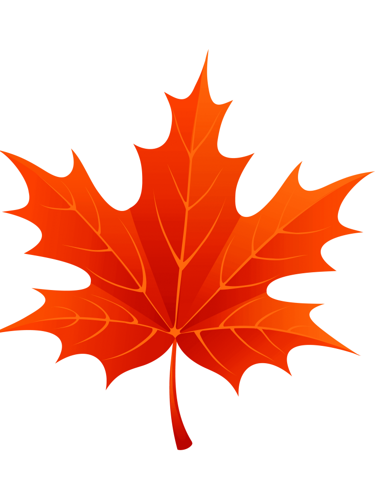 Красивые листочки