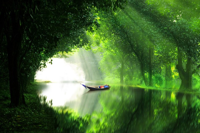 Успокаивающий пейзаж