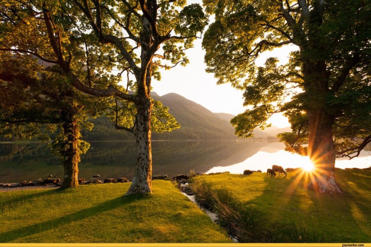 Спокойная природа