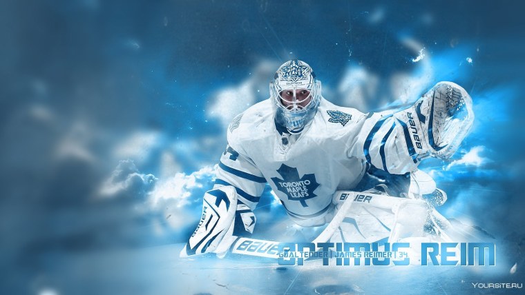 Фон хоккей вратарь